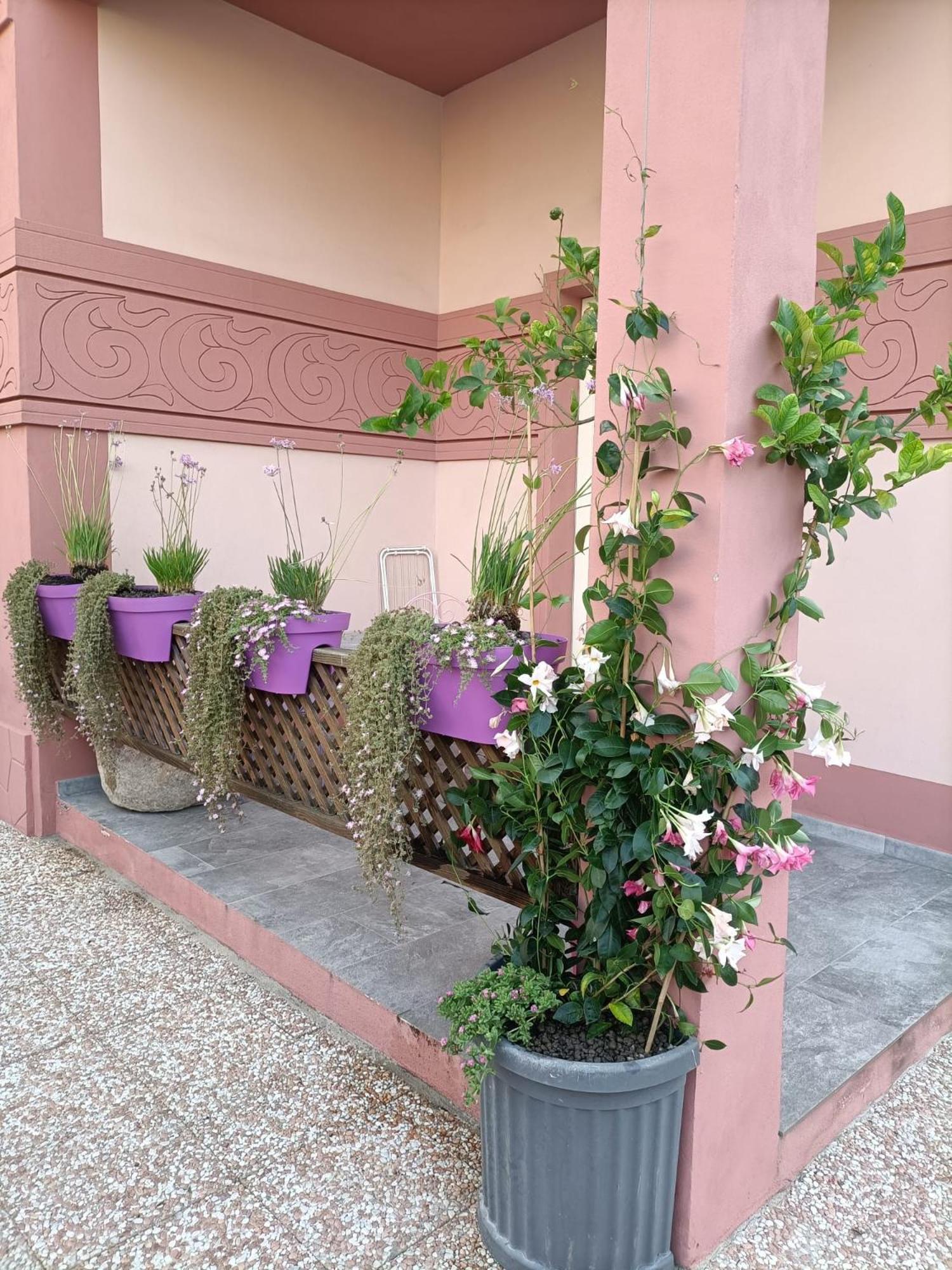Maison Belle Epoque & Suites 奥里斯塔诺 外观 照片